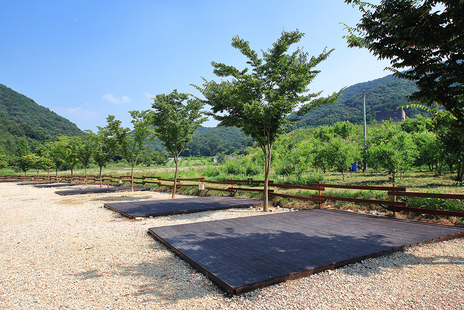 사진: 한국관광공사(공공누리 제3유형) 연산황산벌오토캠핑장 캠핑 사이트 3