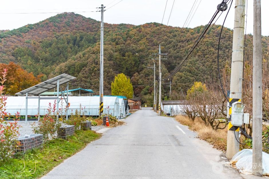 사진: 한국관광공사(공공누리 제1유형) 도정딸기마을 모습 2