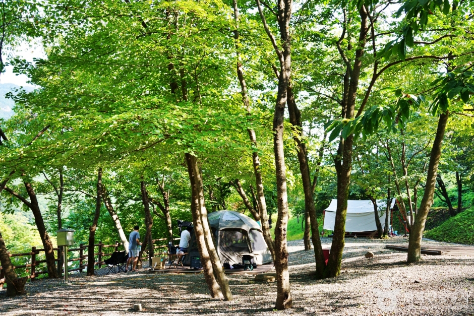 대둔산 도립공원 수락캠핑장 캠핑 사이트 2