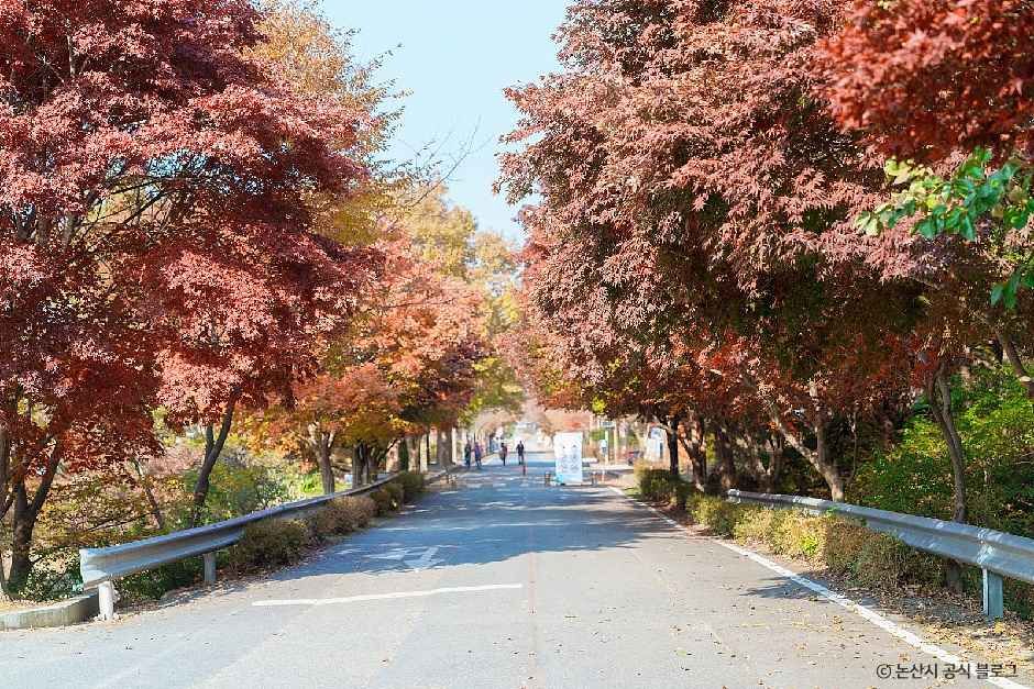 사진: 한국관광공사(공공누리 제3유형) 대둔산도립공원(논산) 모습