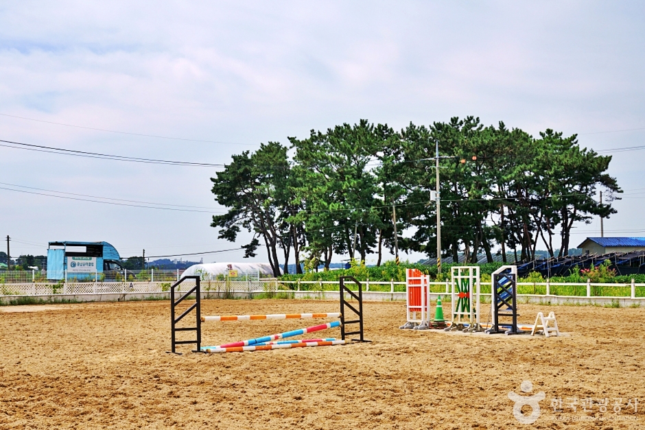 사진: 한국관광공사(공공누리 제3유형) 충남승마클럽 모습 2