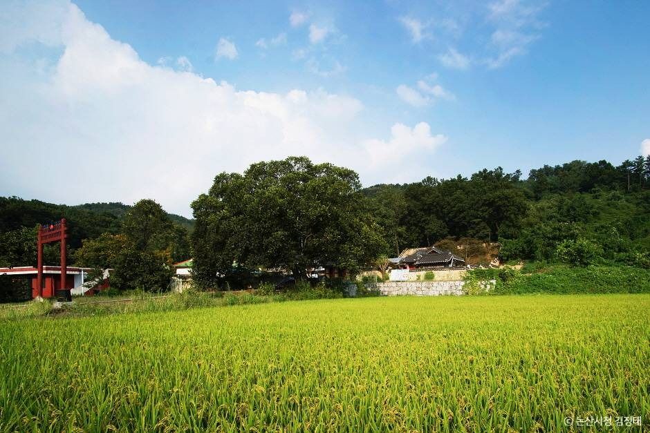 충곡서원 모습 2