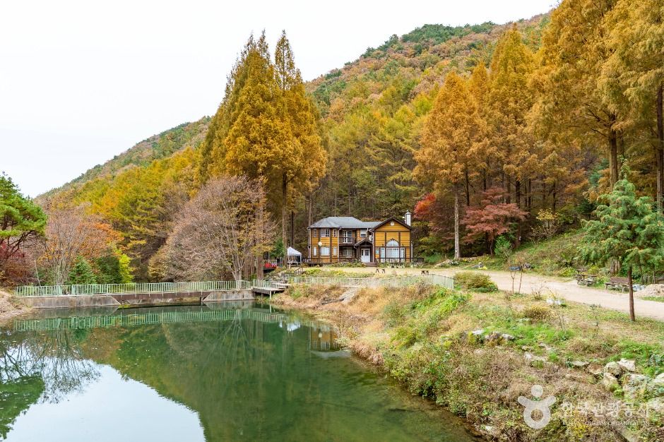사진: 한국관광공사(공공누리 제1유형) 온빛자연휴양림 모습 3