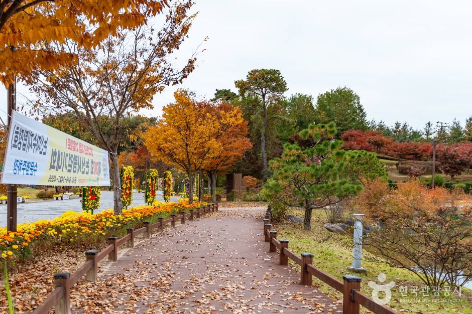 사진: 한국관광공사(공공누리 제1유형) 논산 시민가족공원 모습