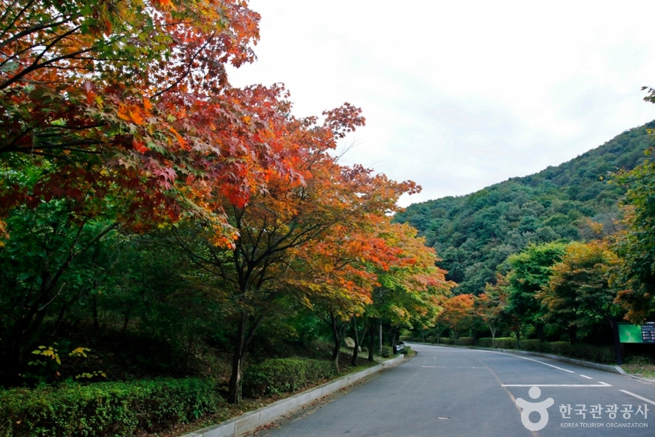 사진: 한국관광공사(공공누리 제3유형) 수락계곡 모습 2