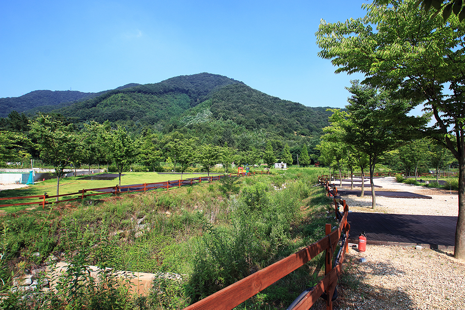 사진: 한국관광공사(공공누리 제3유형) 연산황산벌오토캠핑장 캠핑 사이트