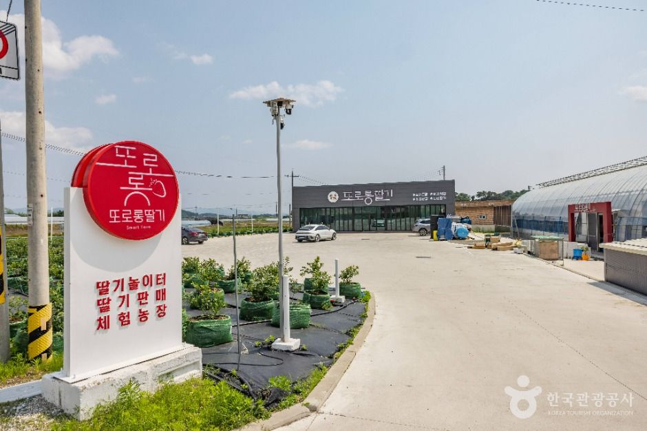 사진: 한국관광공사(공공누리 제1유형) 또로롱딸기 모습 3